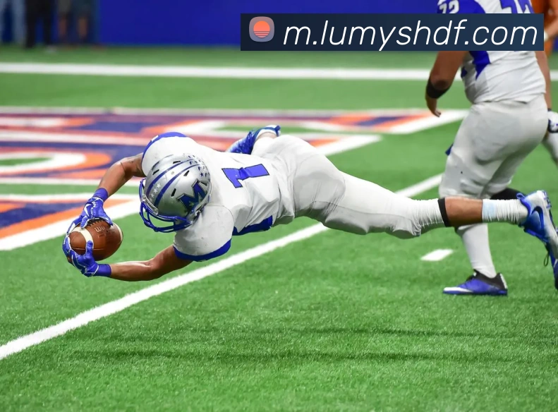 巅峰国际APP 封面图