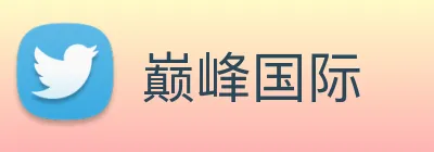 巅峰国际 logo